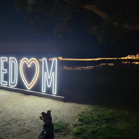 Usedom * 코세로우